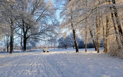 Are you dreaming of a white Christmas?